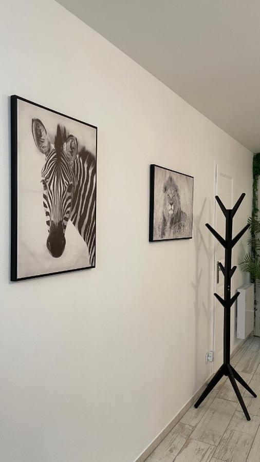Tous'O'Zoo, Au Coeur Du Centre-Ville Сент-Еньян Екстер'єр фото