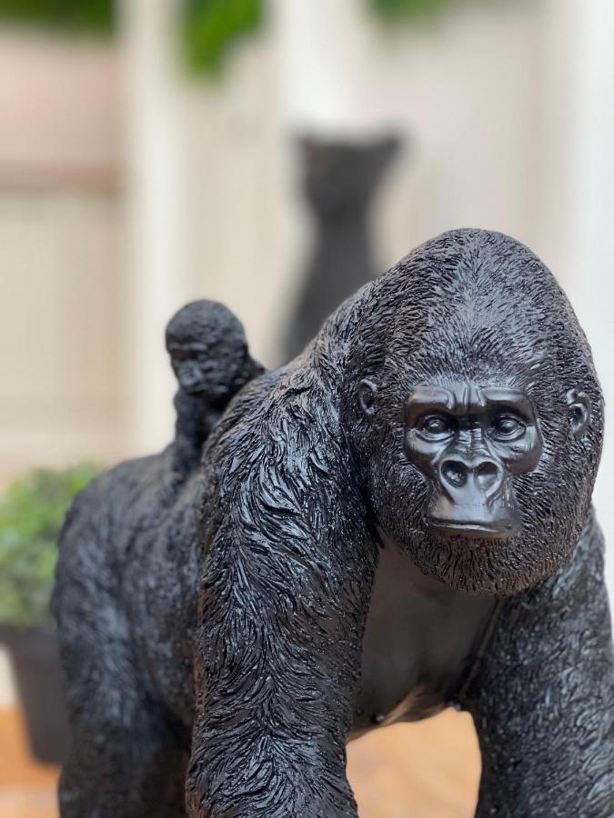 Tous'O'Zoo, Au Coeur Du Centre-Ville Сент-Еньян Екстер'єр фото