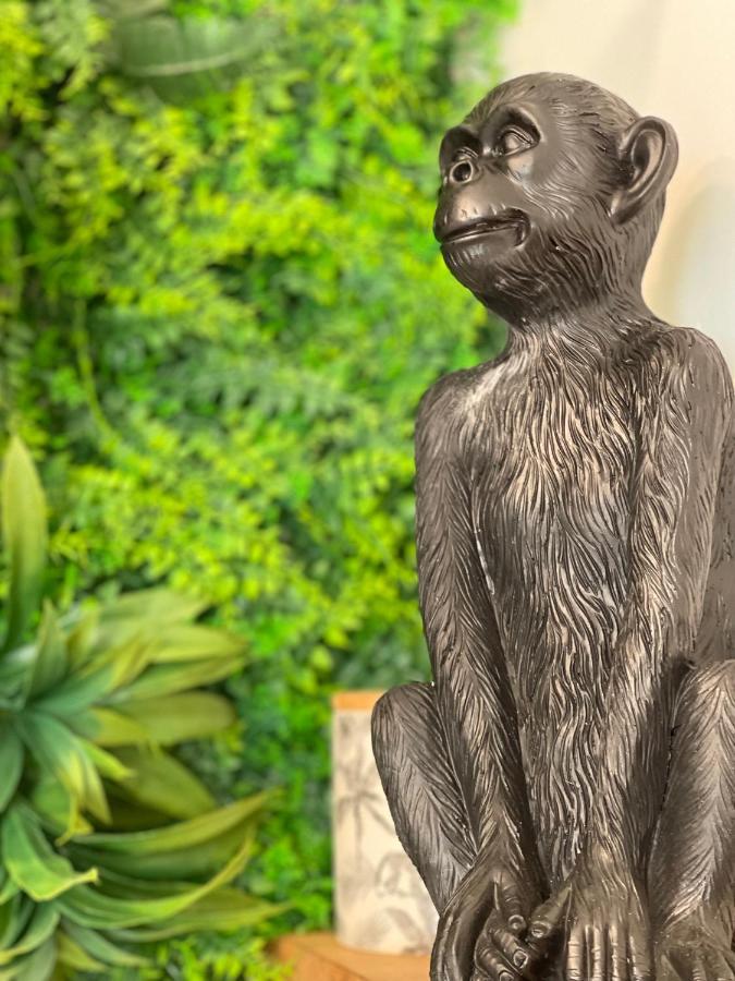 Tous'O'Zoo, Au Coeur Du Centre-Ville Сент-Еньян Екстер'єр фото